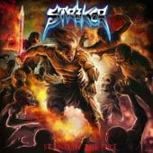 Striker - Stand In The Fire - CD-Cover