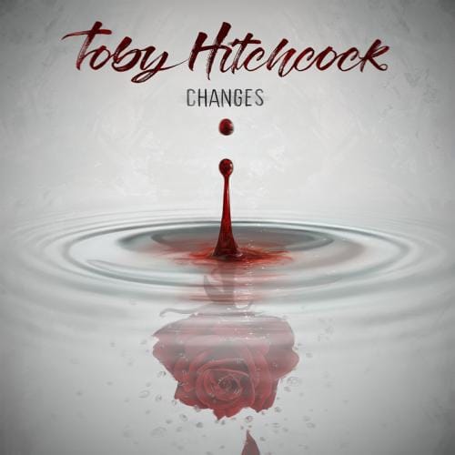 Das Cover von "Changes" von Toby Hitchcock
