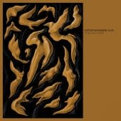 Mitochondrial Sun - Bodies And Gold (EP) - CD-Cover