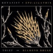 Botanist / Thief - Cicatrix / Diamond Brush (Split) - CD-Cover