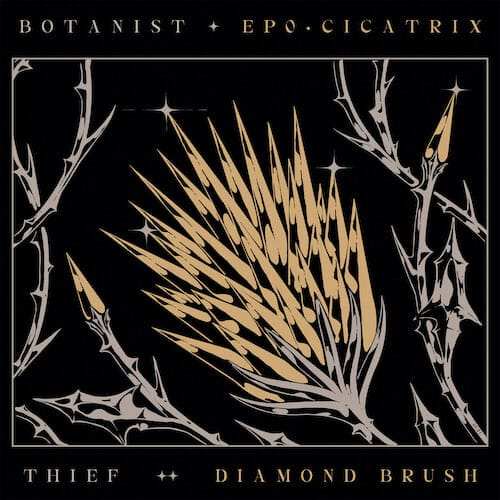 Botanist / Thief - Cicatrix / Diamond Brush Cover