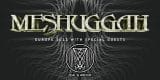 Festival Bild Meshuggah w/ Zeal & Ardor