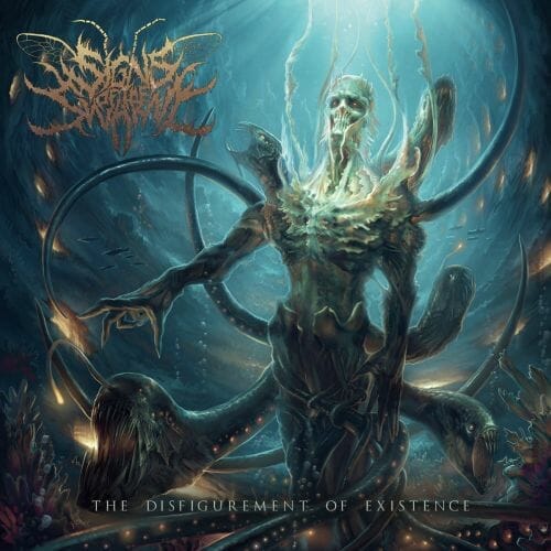 Signs Of The Swarm The Disfigurement Of Existence Coverartwork