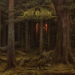 Cân Bardd - Devoured By The Oak Cover