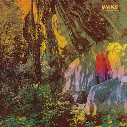 Wake - Thought Form Descent Coverartwork