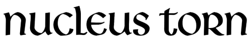 nucleustorn_logo