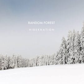 Random Forest - Hibernation