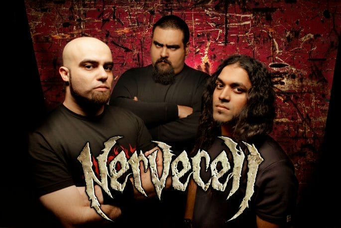 NERVECELL 2011 2