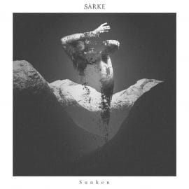 sarke 2016 - 02