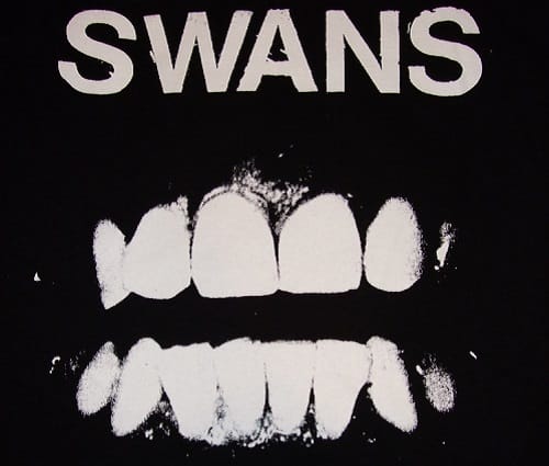 Swans-Teeth
