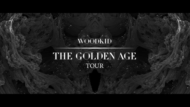 The-Golden-age-tour-Woodkid