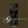 Cover - The Gathering – Mandylion