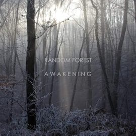 Random Forest - Awakening